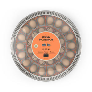 WONEGG Couvercle transparent de 30 œufs Incubateur de mousse Paquet de plusieurs plateaux à œufs Rohs FCC CE Approuvé LED <span class=keywords><strong>Test</strong></span> d'œufs à vendre - Product Image 1