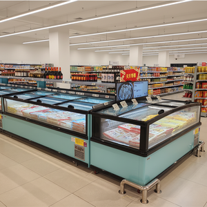 Congélateur commercial pour îlot de supermarché, avec éclairage LED, 2 portes vitrées, refroidissement direct, dégivrage automatique, contrôle numérique pour aliments surgelés - Product Image 1