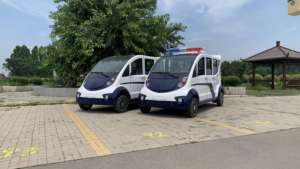 Carrito de golf vintage, coche de club, carrito de golf, buggy todoterreno - Product Image 3