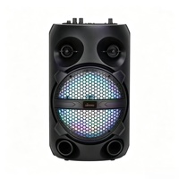 Altavoz Karaoke para el Hogar, Tweeter de 8 Pulgadas, 10w, 3 Botones, Bluetooth, TWS, Pantalla LED, USB, TF, FM, Micrófono con Cable, para Fiestas de Cumpleaños y al Aire Libre