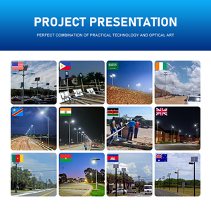 Soluzione per Progetti di Illuminazione Esterna Commerciale OEM ODM, Progetto di Illuminazione Stradale Comunale, Lampione LED - Product Image 3