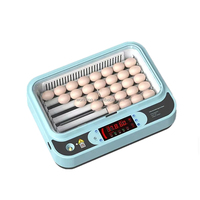 Nouvel incubateur domestique compact 10 œufs à double alimentation, retournement automatique des œufs, taux d'éclosion de 98 % pour poussins, canards, oies, pigeons