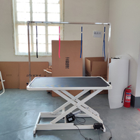 Table de toilettage électrique pour animaux de compagnie en acier inoxydable, robuste, réglable en hauteur, avec plateau antidérapant