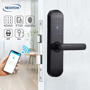 Venta al por mayor alarma loc-Tediton-cerradura Digital para puerta de madera, alarma de seguridad, Wifi, teléfono móvil, precio al por mayor