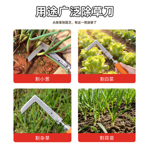 โยแคนเครื่องตัดวัชพืชสแตนเลสแบบหนา 100 มม. ด้ามจับสีส้ม สำหรับการคลายดินในสวนและการกำจัดวัชพืช - Product Image 4