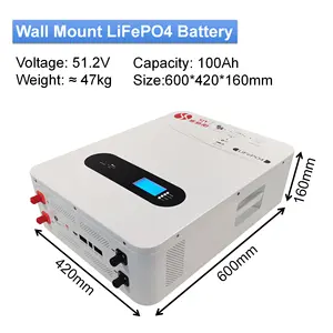 무료 배송 LiFePO4 48V 100AH 200AH 5KW 10KW 태양 에너지 저장 시스템용 리튬 철 인산염 벽걸이 배터리 팩