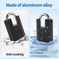 BLE Lock Smart Cadenas Sans Clé Mot de Passe Gym Casier APP Déverrouiller pour Voyage Scolaire Porte en Verre Extérieure Carte Mémoire Option De Stockage