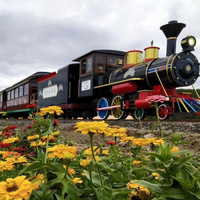 Train touristique électrique sur rails pour parc d'attractions, avec voies métalliques, certifié CE, capacité de 24 à 60 personnes, pour centre commercial et aire de jeux