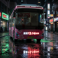 Pegatina Publicitaria de Alta Luminosidad para Autobuses, Pegatina EL para Coche, Vinilo Decorativo EL para Coche