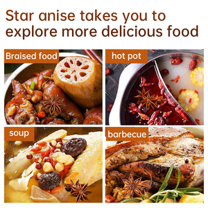 เม็ดโป๊ยกั๊กแห้งจากกวางสี ประเทศจีน - ผู้ผลิตเครื่องเทศและเครื่องปรุงรสคุณภาพสูง - Product Image 2