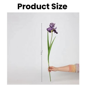 Vente en gros <span class=keywords><strong>Iris</strong></span> blanc <span class=keywords><strong>bleu</strong></span> violet fleurs artificielles mariage décoration de la maison vraie touche PU artificielle Alice <span class=keywords><strong>Iris</strong></span> fleurs - Product Image 2