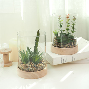 Artificial Succulent Plant Set In Glass Cylinder Wooden Base Decorative Greenery Craft <b>Ornament</b> - Product Image 1