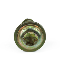 Vis Delta PT à tête Torx WN5451 pour plastiques