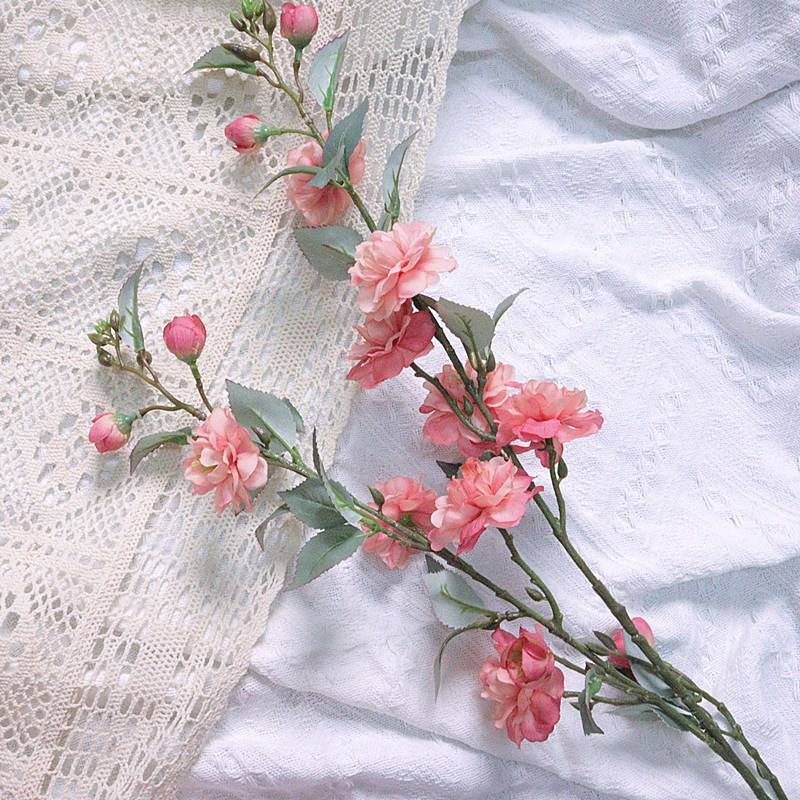 สีชมพูเข้ม