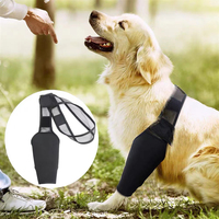 Équipement de protection pour animaux de compagnie, sangle de correction assistée pour les hanches des chiens, rééducation post-injury articulaire, éco-responsable, térylène de haute qualité