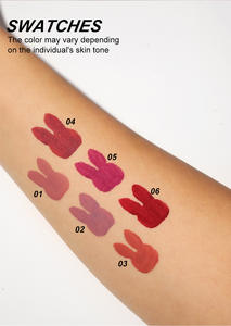 Ensemble de rouge à lèvres hydratant naturel pour femme Matte Velvet Makeup Waterproof Lipstick Vegan Lip Gloss Lipstick Set - Product Image 5