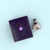 Boîte d'emballage de bouteille d'huile de parfum de luxe haut de gamme pour hommes, boîte d'emballage de parfum de parfum d'eau aromatique de Nosegay