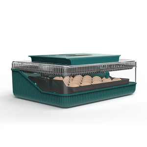 WONEGG <span class=keywords><strong>Couveuse</strong></span> verte de haute qualité entièrement <span class=keywords><strong>automatique</strong></span> avec marquage CE 25 œufs de poule - Product Image 2