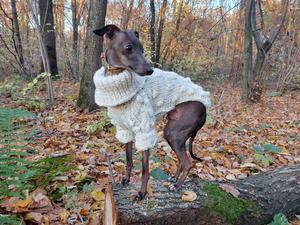 Qiqu-suéter de lana para perros, ropa personalizada de nuevo diseñador, suéter de lana elegante, Mono para perro grande <span class=keywords><strong>italiano</strong></span>, <span class=keywords><strong>galgo</strong></span> - Product Image 5