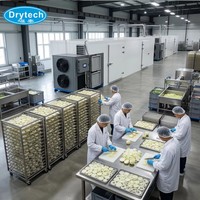 DRYTECH COC-gecertificeerde grote capaciteit gemengde bonen warmtepomp droogmachine met afmetingen L6350xB3230xH2200mm