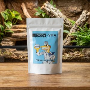 [FOODYWORM] Polvo Multivitamínico de Alta Proteína Ecológico de Corea, Foody-Vita, Vitamina Diaria Todo en Uno para Mascotas, Aminoácidos, Golosina para Mascotas - Product Image 3