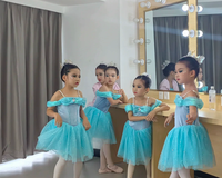 Robe de tutu bleue pour filles, costume de danse de princesse, robe de danse pour spectacle de ballet pour enfants