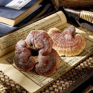 유기농 야생 적색 영지버섯 천연 건조 허브차 슬라이스 - Product Image 3