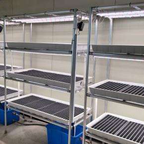 <span class=keywords><strong>Table</strong></span> <span class=keywords><strong>de</strong></span> culture hydroponique mobile à roulettes pour serre commerciale, avec système <span class=keywords><strong>de</strong></span> refoulement et <span class=keywords><strong>de</strong></span> refoulement par flux et reflux, pour petits bacs <span class=keywords><strong>de</strong></span> semis en plastique et grands bacs <span class=keywords><strong>de</strong></span> pépinière - Product Image 6