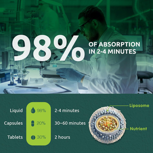 Vente en gros de suppléments anti-âge à formule personnalisée en vrac Nacural Pure Vegan 600mg de gouttes <span class=keywords><strong>NAC</strong></span> N-acétyl cystéine avec 500mg de quercétine - Product Image 5