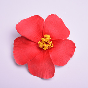 Bán Buôn Hoa Nhân Tạo Tóc Clip Bọt Fuso Hoa Kẹp Tóc Ngọt Ngào Phụ Kiện Cho Đám Cưới Các Bên Bãi Biển - Product Image 5