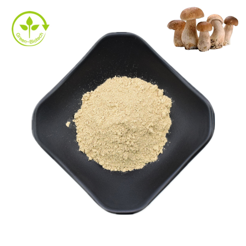 Natural Penny Bun Porcini Mushroom Extract Pure Boletus Powder  99% 1