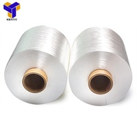 New Design Wholesale Fashion High Tenacity Nylon 6 Yarn