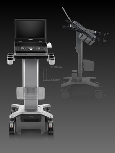 Échographe Doppler Couleur Portable Sonoscape X10 de Haute Qualité et Très Vendu avec Moniteur 15,6 Pouces pour Utilisation en Centre Équin - Product Image 2