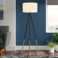 Lampadaire LED Nordique Moderne Simple en Fer avec Télécommande pour Salon, Canapé, Chambre à Coucher, Chevet, Bureau, Table Basse, Trépied Vertical