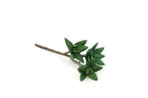 Nuevo diseño al por mayor barato encantador <span class=keywords><strong>de</strong></span> la casa y el jardín <span class=keywords><strong>de</strong></span> flores unpotted artificial <span class=keywords><strong>plantas</strong></span> suculentas en venta - Product Image 3