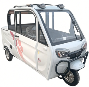 Mini camion électrique avec porte-bagages <span class=keywords><strong>de</strong></span> <span class=keywords><strong>toit</strong></span> robuste. Sa petite taille permettant un stationnement facile, capacité <span class=keywords><strong>de</strong></span> charge <span class=keywords><strong>de</strong></span> 300 à 500 kg pour les petites marchandises quotidiennes - Product Image 2