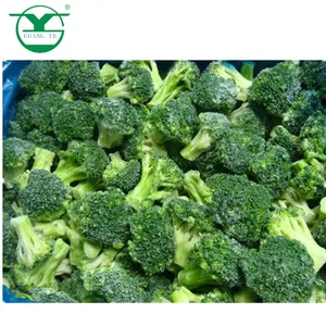 Kaliteli düşük fiyat beslenme sağlık IQF dondurulmuş sebze BRC sertifikalı taze kesilmiş yeşil brokoli
