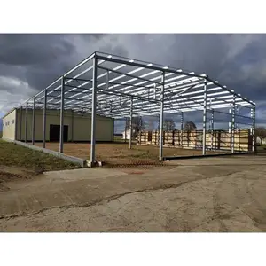 Factory Direct Supply Construction Warehouse Design Prefabricated Building Steel Structure