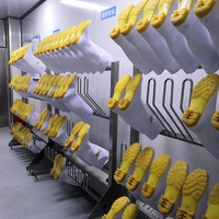 Séchoir à bottes pour patins Séchoir à bottes électrique et désodorisant à l'ozone