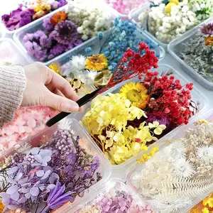 Candela di fiori secchi per aromaterapia che produce fiori secchi secchi per la decorazione di nail art all'ingrosso