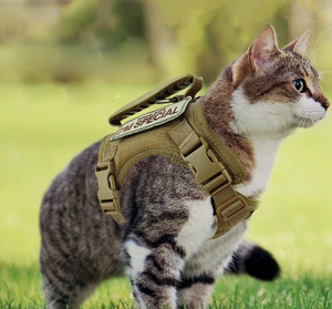 Ayarlanabilir açık taktik kedi koşum yelek tipi çekiş halat anti-ayrılıkçı Polyester köpek zinciri katı desen küçük köpek tasma - Product Image 1