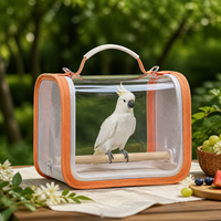 Sac de transport rectangulaire transparent en plastique pour perroquet, ventilé, respirant, portable, pour petits oiseaux, lézards, cage extérieure pour animaux de compagnie