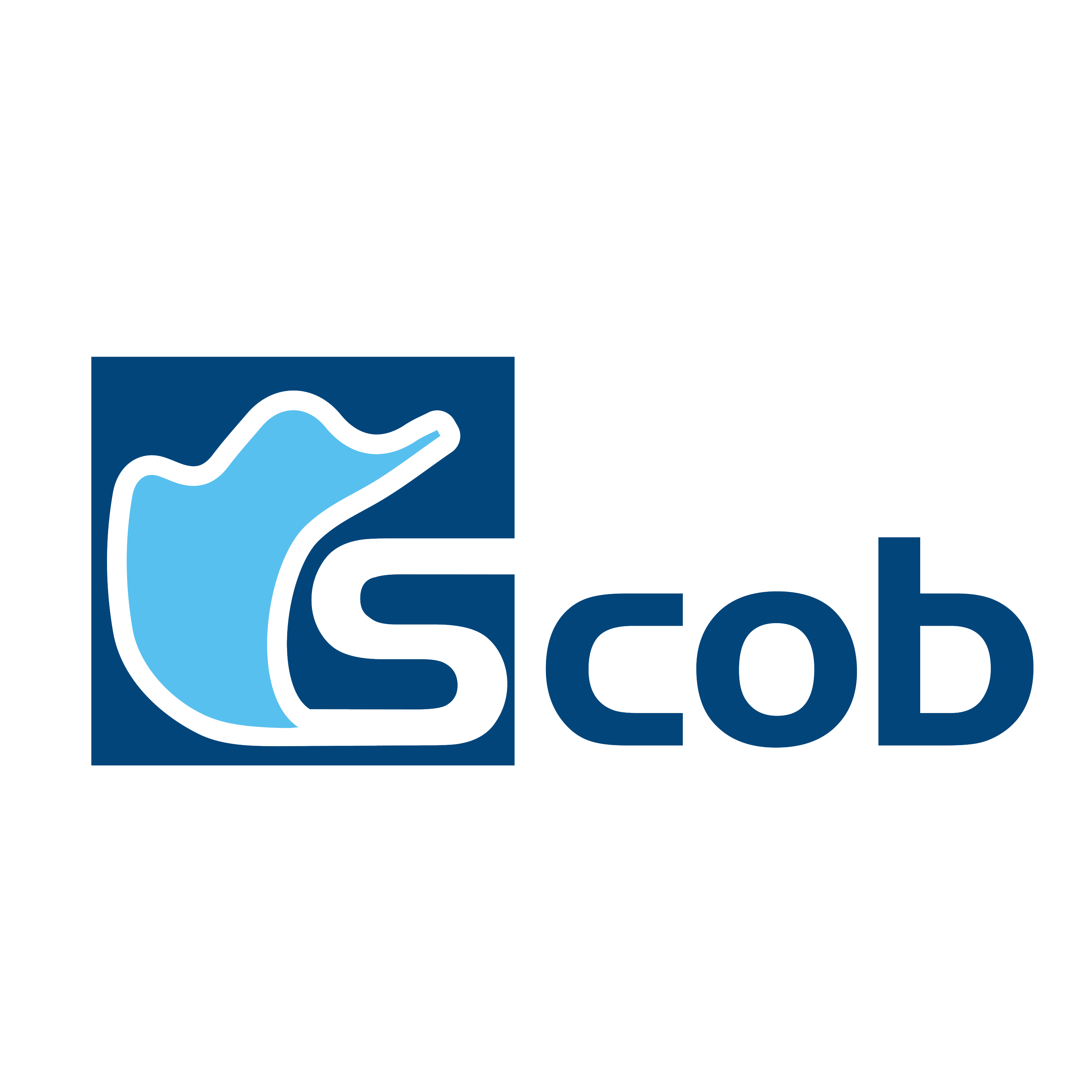 Hangzhou Scob Technology Co., Ltd. logo