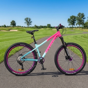 Oferta Destacada: Bicicleta de Montaña para Dirt Jump con Eje de Cassette de 120 Puntos de Contacto para Descenso en Seco, Atractivo Diseño, Cuadro Desmontable de Aluminio ALD-AM100, Fácil Personalización - Product Image 5