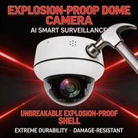 2.5 Inch IP PTZ Security Camera 4X Optical Zoom AI Human Vehicle Detection Tracking 30M IR Two Way Audio TF Card 512GB