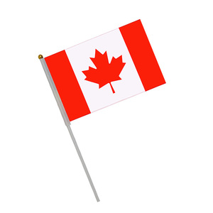 Drapeau personnalisé à bas prix, drapeau à main, drapeau de football, drapeaux personnalisés, Arabie Saoudite, Canada, Mexique, Sénégal, IR, Iran, mini-drapeau - Product Image 5