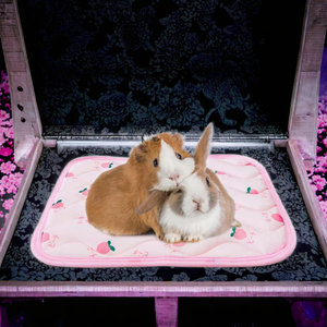 Almohadilla de refrigeración para mascotas pequeñas, alfombrilla transpirable para cama de hielo, manta para gatos, conejos, hámsteres, cobayas, calefacción - Product Image 3