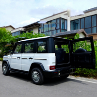 Véhicule électrique à faible vitesse 4 roues pour adultes, nouvelle énergie, véhicule électrique de qualité SUV, prix bas, vente chaude 2025, 3500W