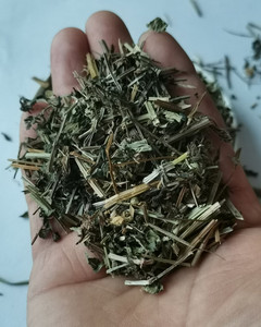 Ban Zhi Lian séché hors sol partie coupe Barbat Skullcap Herb à vendre - Product Image 4