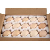 EPE Foam Egg Carton for Sale, Shockproof Earthen Egg Box